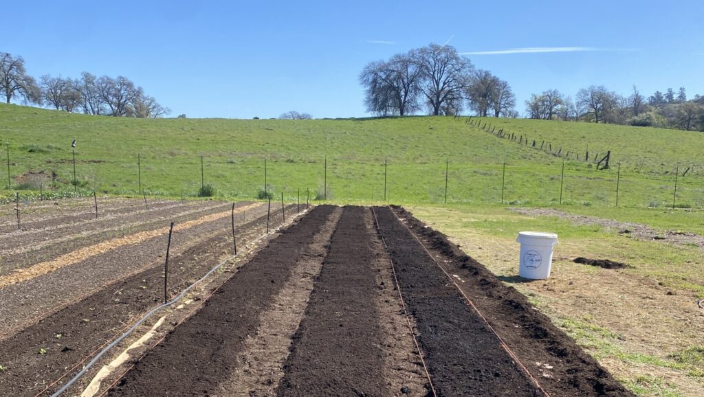 Field rows with compost