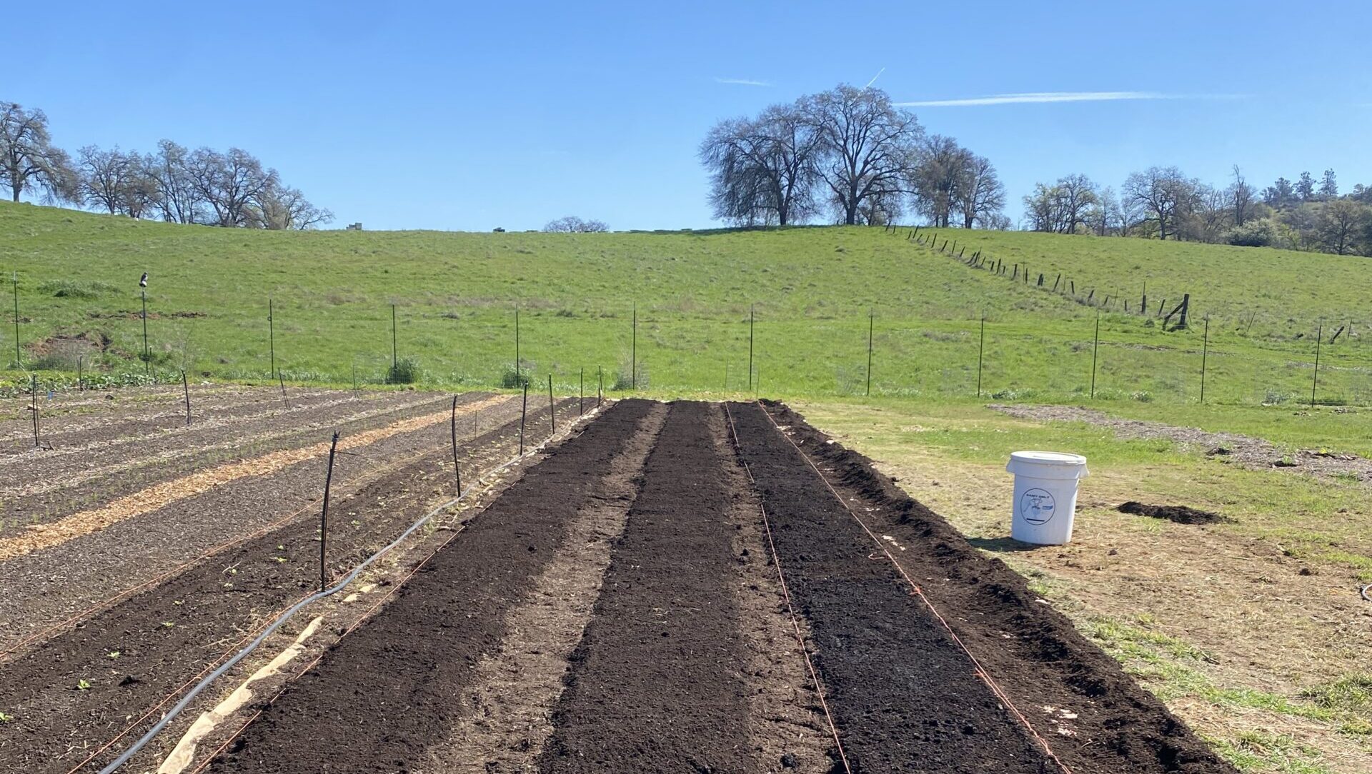 Field rows with compost